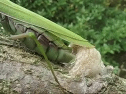 bloggif_5923038944013