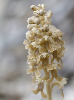 20187908_10210038641378944_1506235332_n