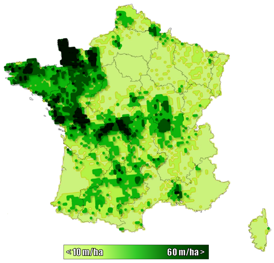 haies_france_legende